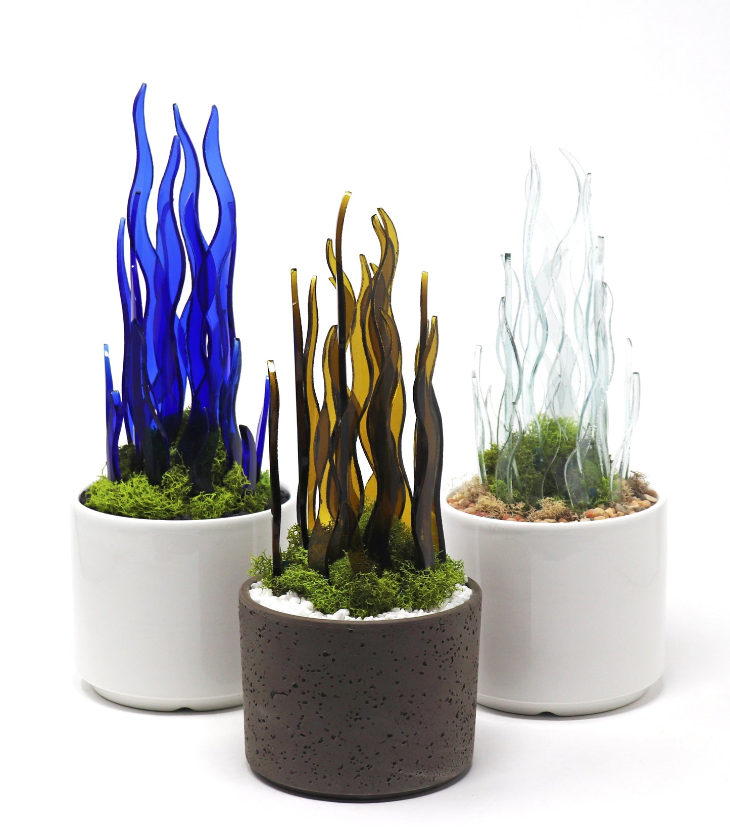 Pinot Planters