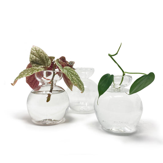 Bubble Propagation Vessel
